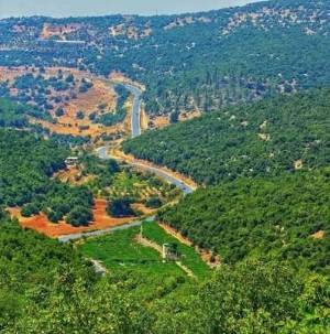 متخصصون في عجلون يطالبون بتعزيز حماية التنوع البيولوجي