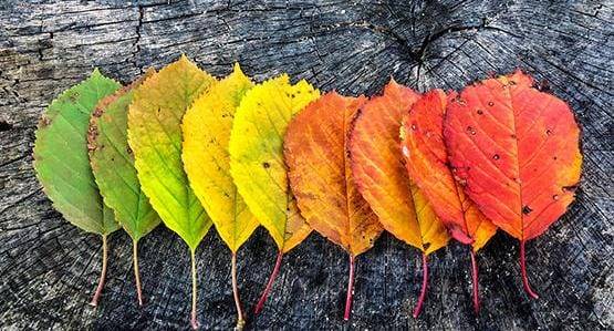 الأردن..درجات حرارة مرتفعة في اول ايام الخريف