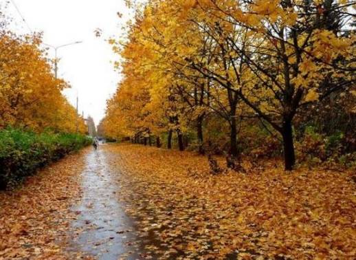 الخريف يبدأ غدا .. تساوي الليل والنهار وطقس متقلب في المملكة