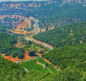 عجلون: دعوات لإبراز دير إليوس في عبين كوجهة سياحية وأثرية