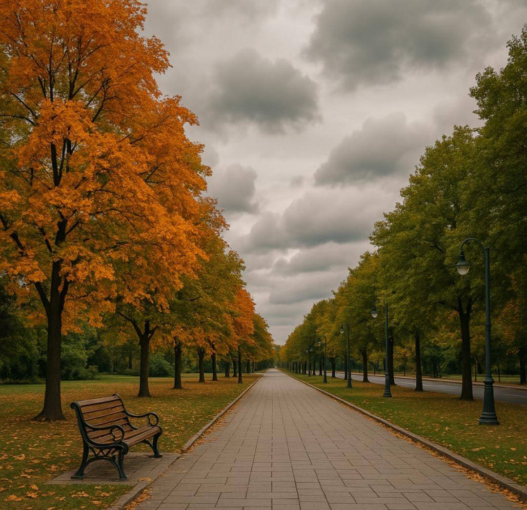 طقس خريفي معتدل في اغلب المناطق حتى الثلاثاء