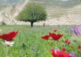 انضمام محميتي عجلون واليرموك إلى شبكة محميات المحيط الحيوي العالمية