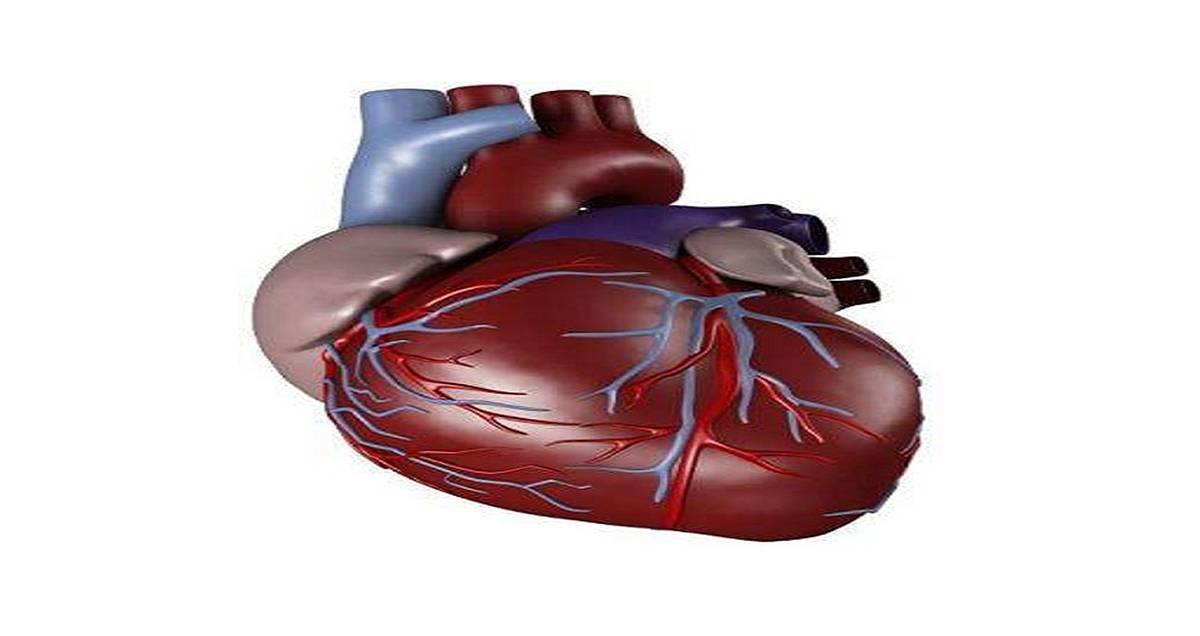 متلازمة القلب الحساس و القلب المنكسر.. ارتباط وثيق بين الحالة النفسية والتشخيص المبكر