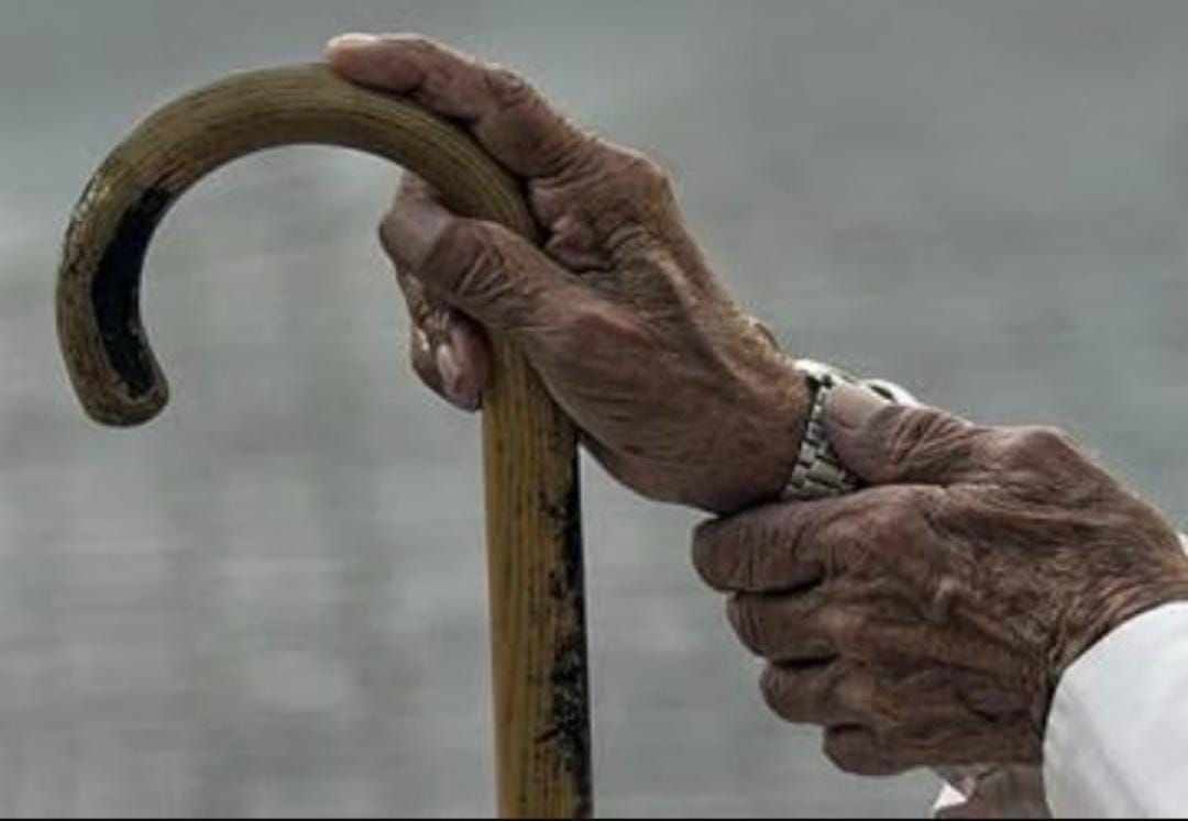 اليوم العالمي لكبار السن .. رصيد الخبرة وحكمة الحياة