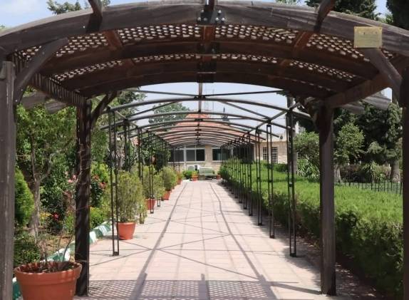 تعليمات جديدة لضبط المخالفات والاعتداءات على الحدائق والمتنزهات في عمان