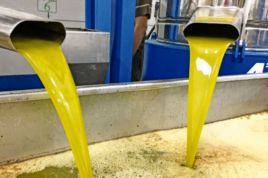 وزير الزراعة يقرر تمديد فترة ترخيص معاصر الزيتون