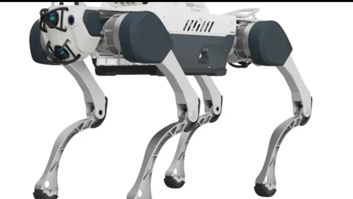 الصين تختبر كلابا آلية استعدادا لرحلة إلى القمر