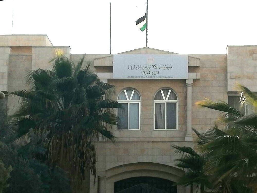 537 مقترضا استفادوا من مؤسسة الإقراض في البادية الشمالية