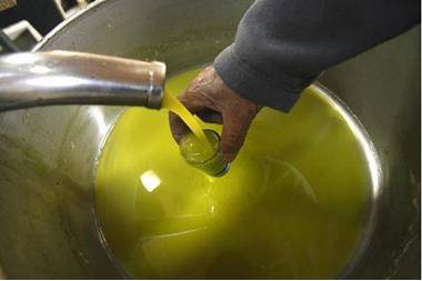 وزير الزراعة: فحوصات مجانية لزيت الزيتون