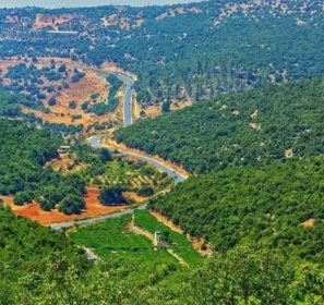 عجلون: مطالب باستحداث حدائق عامة لتنظيم التنزه وحماية البيئة