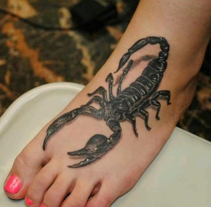 تفسير حلم قرصة العقرب للعزباء.. خيانة أم تحذير؟