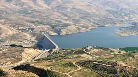 تحديد سبب نفوق اسماك الموجب: نقص الأوكسجين