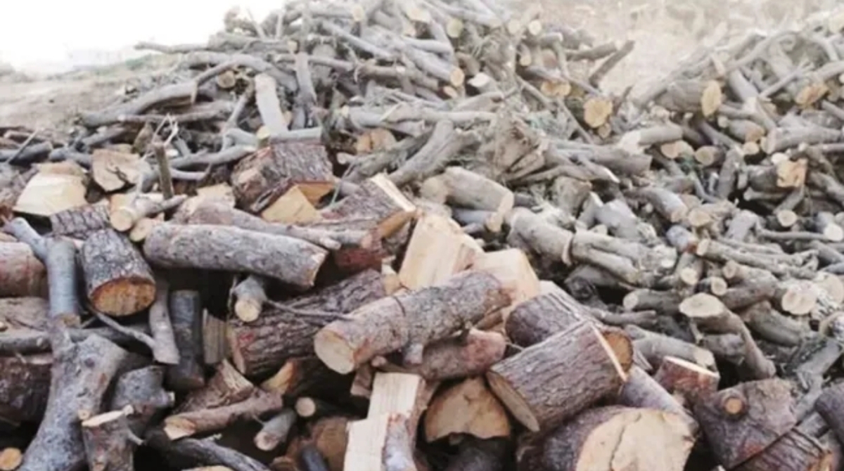 جرش.. أسر فقيرة تترقب توزيع أحطاب مجانية استعدادا لفصل الشتاء