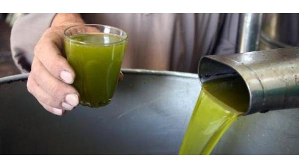 بواقع 5 تنكات.. بدء ادخال زيت الزيتون من فلسطين إلى الأردن الأحد