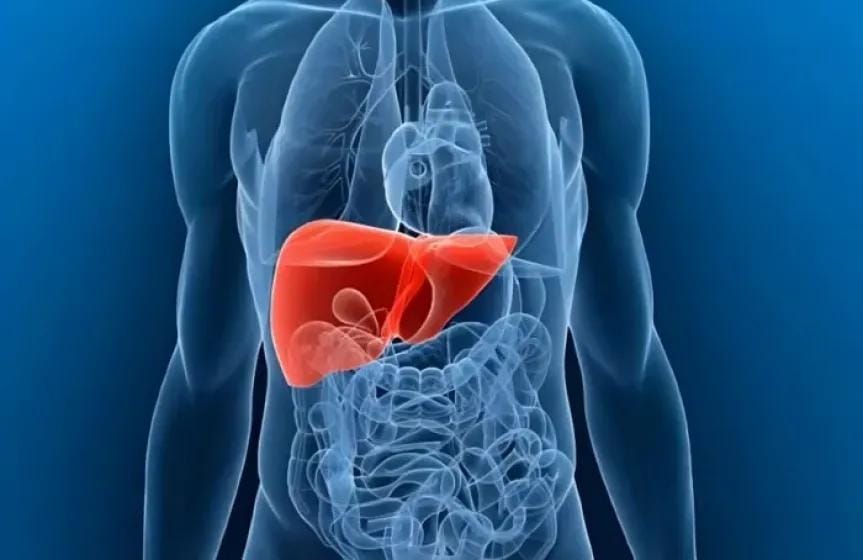 دراسة: عادات صباحية بسيطة تحمي الكبد من الأمراض المزمنة