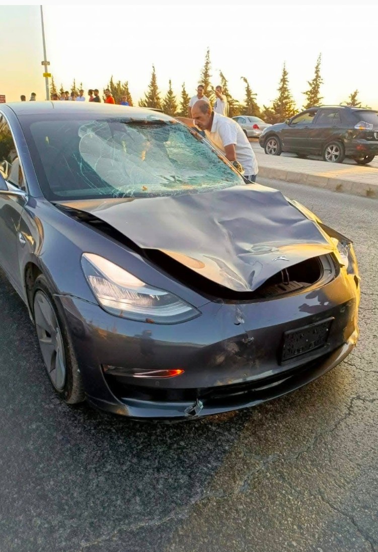 نفوق حصان إثر حادث اصطدام على شارع الستين (صور)