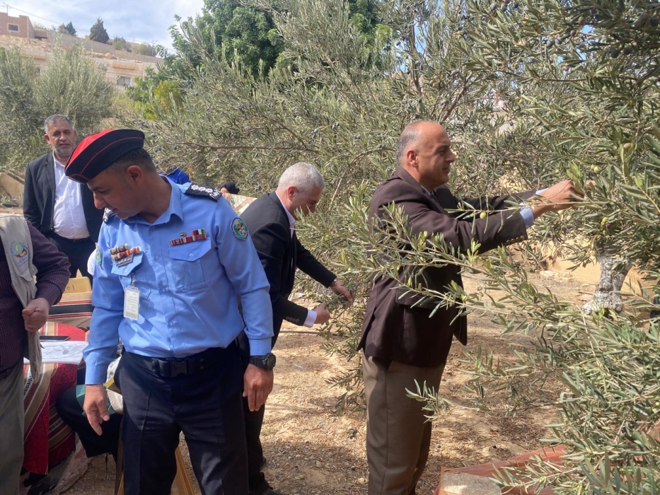 الماضي يرعى اليوم الوطني لقطاف ثمار الزيتون