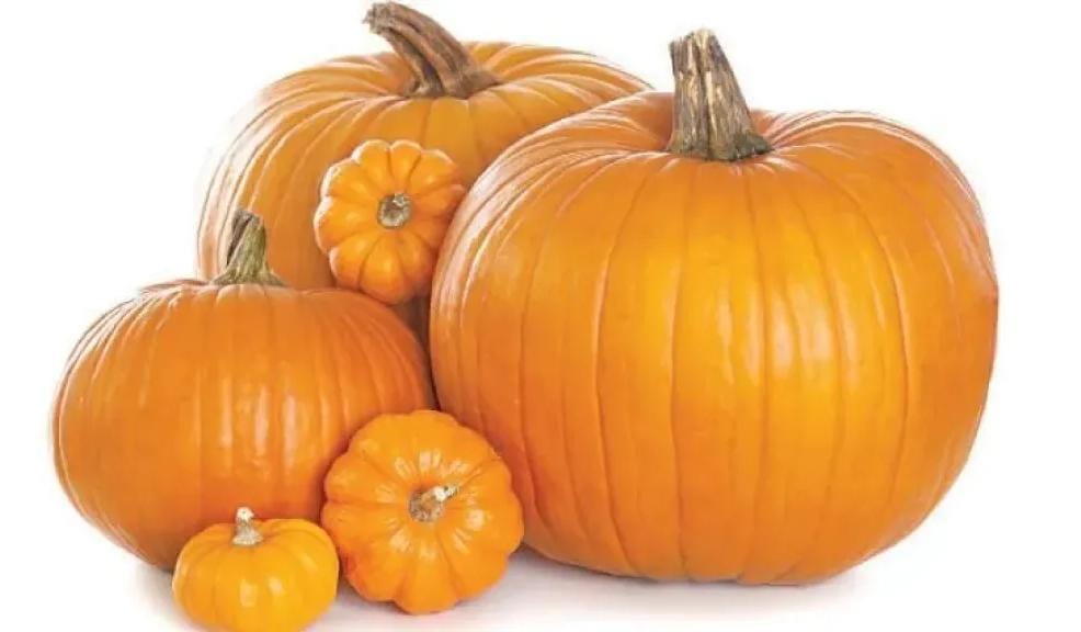 فوائد اليقطين: فيتامينات ومعادن تعزز المناعة وتحمي القلب والبصر