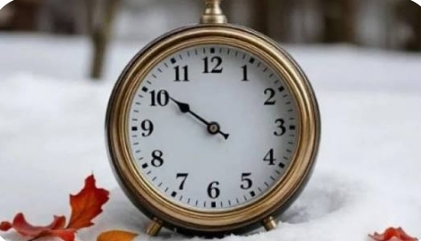 بسبب الكلاب والطلاب وصلاة الفجر .. نواب يطالبون بالتوقيت الشتوي فورا