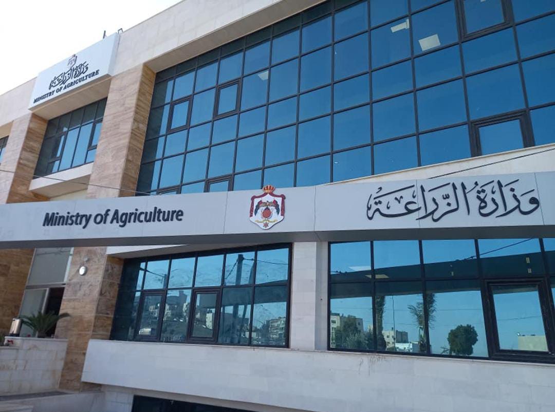 وزارة الزراعة تعلن استقبال طلبات استيراد زيت الزيتون لتعويض انخفاض الإنتاج المحلي