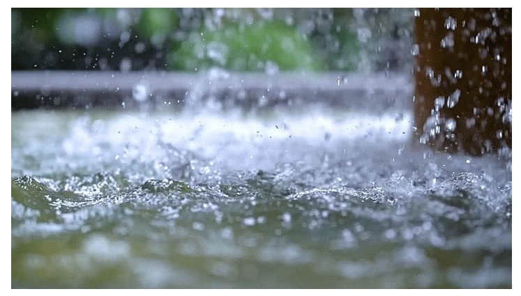 غيث تشرين يوقظ سهول إربد… قراءة أدبية في مشهد المطر