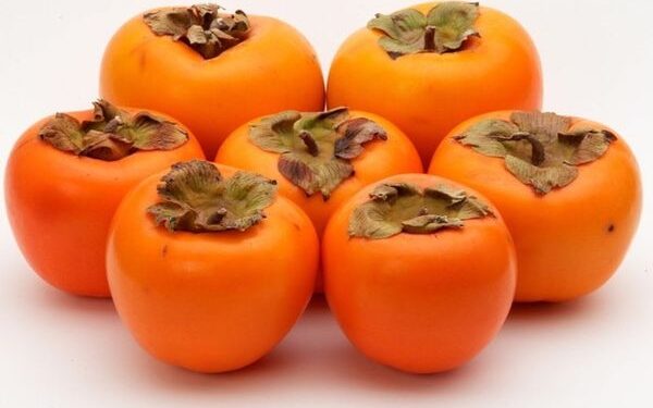 المفرق: نجاحات لافتة بزراعة الكاكا