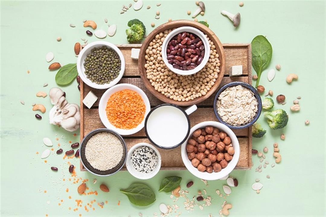 أفضل الأطعمة الغنية بالبروتين لتعزيز الطاقة والمناعة في فصل الشتاء