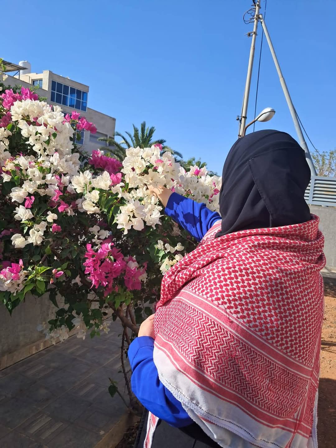 المعاقبة تكتب المجد يُنتزع ولا يُمنح.... النشامى وفرحة وطن