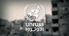 الأونروا : 1.6 مليون شخص في غزة يعانون من انعدام أمن غذائي حاد
