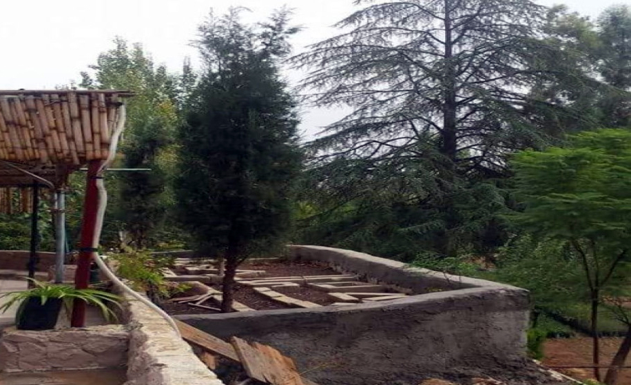 جرش: مشتل عين جملا إرث زراعي وبيئي يستأنف دوره في دعم التحريج