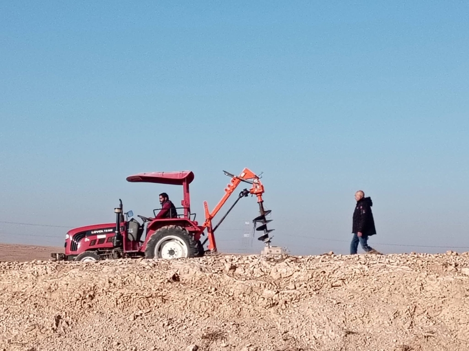 بلدية العامرية تواصل تجهيز حُفَر لزراعة الأشجار دائمة الخضرة لتحسين المشهد الحضري...صور