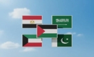 مصر والسعودية والكويت وباكستان يتحركون من أجل غزة
