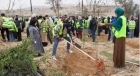 بلديات المملكة تزرع نحو 70 ألف شجرة ضمن حملة التشجير والتخضير