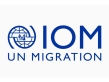 الأمم المتحدة تؤكد مصرع وفقدان نحو 8 آلاف شخص على طرق الهجرة العام الماضي