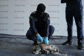 السعودية : جمرك ميناء جدة الإسلامي يُحبط محاولة تهريب أكثر من 8 كيلوجرامات من مادة الكوكايين