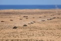 العثور على جثة جندي أمريكي مفقود في المغرب