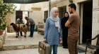 روحي عند أهلك بضحوا إلك على حوت .. طلاق عشرينية بسبب أضحية العيد