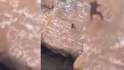 مصرع متسلق يمني إثر سقوطه في فوهة بركانية بمحافظة الضالع جنوبي اليمن