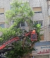 المناصير يوجّه الشكر للمهندسة ربى الرحاحلة وكوادر شركة الكهرباء على جهودهم الميدانية
