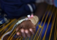 منظمة الصحة العالمية تحذر من تفاقم تفشي الكوليرا في السودان بعد وفاة 114 شخصا